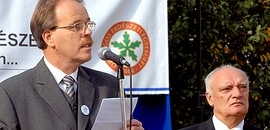 Európai Erdők Hete Pécsett