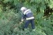 Figyelem, újabb durva vihar kaphatja telibe Baranyát, jöhet jég, villámlás, szélvihar Figyelem, újabb durva vihar kaphatja telibe Baranyát, jöhet jég, villámlás, szélvihar