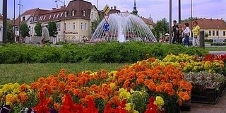 A közönség is szavazhat idén a Virágos Magyarországért versenyen