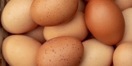 Vett mostanában tojást a Lidl-ben? Feltétlen olvassa el!