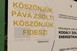 Köszönjük, Páva Zsolt, köszönjük, Fidesz - Ezekkel a feliratokkal noszogatják Péterffyéket Köszönjük, Páva Zsolt, köszönjük, Fidesz - Ezekkel a feliratokkal noszogatják Péterffyéket