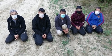 Migránsokat kapcsoltak le pénteken hajnalban Baranyában Migránsokat kapcsoltak le pénteken hajnalban Baranyában