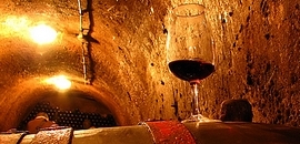 Mit hozott 2007 borfronton?