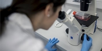 Pécsi virológusok: heteken belül nőni fog a kórházi ápolásra szorulók száma