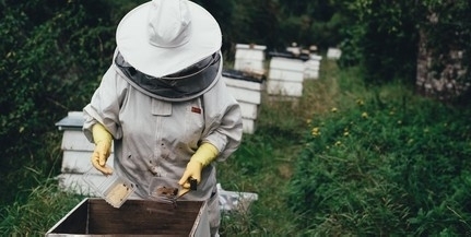 Vegyes évük lesz idén a hazai méhészeknek