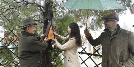 Országos madárodú kihelyezési programot indítottak Országos madárodú kihelyezési programot indítottak