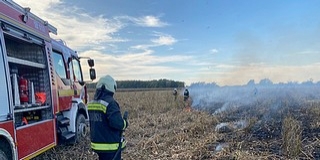 Kukoricatáblát veszélyeztetett egy baranyai tarlótűz Kukoricatáblát veszélyeztetett egy baranyai tarlótűz