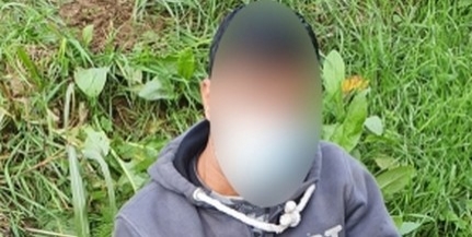 Törököt fogtak a rendőrök Baranyában Törököt fogtak a rendőrök Baranyában