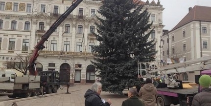 Hétfőn délelőtt állítják fel a Mindenki Karácsonyfáját Hétfőn délelőtt állítják fel a Mindenki Karácsonyfáját