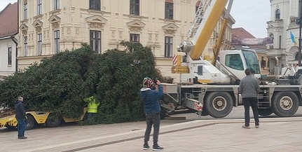 Megérkezett pénteken délelőtt a Széchenyi térre a Mindenki Karácsonyfája Megérkezett pénteken délelőtt a Széchenyi térre a Mindenki Karácsonyfája