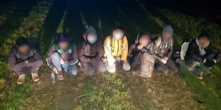 Hét migránst fogtak el éjszaka Baranyában Hét migránst fogtak el éjszaka Baranyában