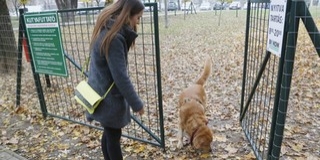 Új kutyafuttatót vehetnek birtokba a kutyások Pécsett