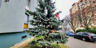 A karácsony összehozta egy kertvárosi tízemeletes közösségét, együtt díszítették fel a fenyőfát A karácsony összehozta egy kertvárosi tízemeletes közösségét, együtt díszítették fel a fenyőfát