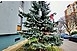 A karácsony összehozta egy kertvárosi tízemeletes közösségét, együtt díszítették fel a fenyőfát A karácsony összehozta egy kertvárosi tízemeletes közösségét, együtt díszítették fel a fenyőfát