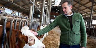 Csökkenti a kormány az őstermelők és a családi gazdaságok terheit Csökkenti a kormány az őstermelők és a családi gazdaságok terheit