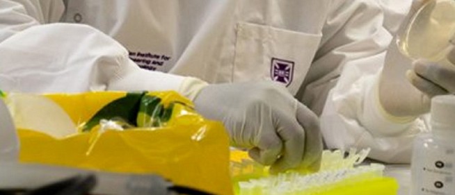 Pécsett és Szekszárdon is emelkedik a koronavírus örökítőanyaga a szennyvízben Pécsett és Szekszárdon is emelkedik a koronavírus örökítőanyaga a szennyvízben