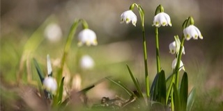 Jön a hidegfront, kicsit visszavesz a tavasz