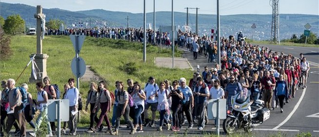 Idén nem tartják meg a máriagyűdi gyalogos zarándoklatot, online lelki napot rendeznek Idén nem tartják meg a máriagyűdi gyalogos zarándoklatot, online lelki napot rendeznek