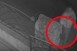 Éveken át, módszeresen próbálta megmérgezni szomszédja kutyáját egy férfi - Videó! Éveken át, módszeresen próbálta megmérgezni szomszédja kutyáját egy férfi - Videó!