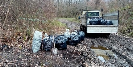 Csaknem kétszáz köbméter szemetet, hulladékot szedtek össze a baranyai erdőkből