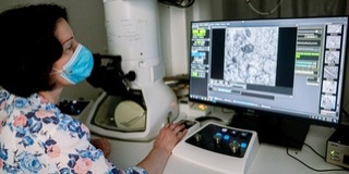 Ultramodern elektromikroszkóppal kutathatnak a Pécsi Tudományegyetemen Ultramodern elektromikroszkóppal kutathatnak a Pécsi Tudományegyetemen