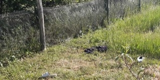 Füstben alvó nőt mentettek ki a pécsi rendőrök Füstben alvó nőt mentettek ki a pécsi rendőrök