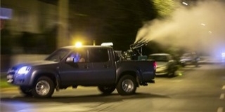 A Duna teljes szakaszán pusztítják a vérszívókat A Duna teljes szakaszán pusztítják a vérszívókat