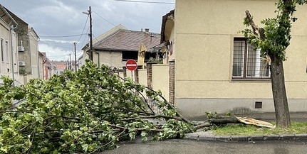 Baranyából is nagyon sok bejelentés érkezett a viharok miatt Baranyából is nagyon sok bejelentés érkezett a viharok miatt