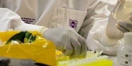 Alacsony a vírus örökítőanyagának koncentrációja Alacsony a vírus örökítőanyagának koncentrációja
