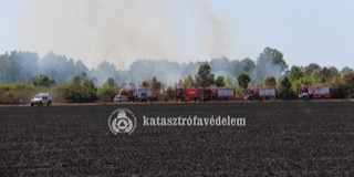 Negyven tűzoltó oltotta a lángokat Pécs határában - Vezetékeket is veszélyeztetett a tűz Negyven tűzoltó oltotta a lángokat Pécs határában - Vezetékeket is veszélyeztetett a tűz