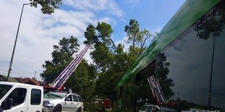 Hatalmas vihar találta telibe Pécset, károkat okozott a szél Hatalmas vihar találta telibe Pécset, károkat okozott a szél