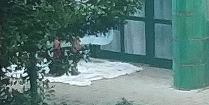 Hányás- és húgyfoltok, ürülék, nyilvános szex - Óriási a kupleráj a Zsolnay-szobor környékén Hányás- és húgyfoltok, ürülék, nyilvános szex - Óriási a kupleráj a Zsolnay-szobor környékén