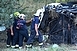 Tragédia! Többen meghaltak egy buszbalesetben az M7-esen Tragédia! Többen meghaltak egy buszbalesetben az M7-esen