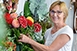 Új életre kelnek nála a virágok: Jávorfi Gabriella három évtizede vezeti saját boltját