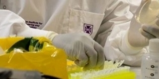 Pécsett is emelkedik a szennyvíz koronavírus-koncentrációja Pécsett is emelkedik a szennyvíz koronavírus-koncentrációja