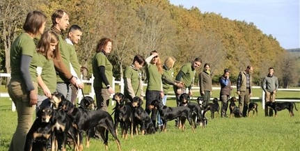 Erdélyikopó-világtalálkozót tartanak Bőszénfán Erdélyikopó-világtalálkozót tartanak Bőszénfán