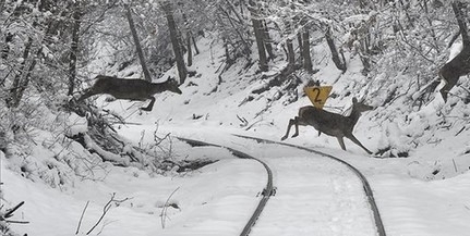 Marad a hideg idő, röpködni fognak a mínuszok éjjelente egész héten Marad a hideg idő, röpködni fognak a mínuszok éjjelente egész héten