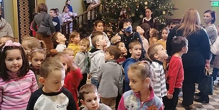 Több száz fenyőt adományozott a Mecsekerdő baranyai gyermekotthonoknak, kórházaknak Több száz fenyőt adományozott a Mecsekerdő baranyai gyermekotthonoknak, kórházaknak