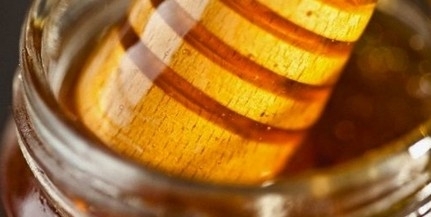 A hamis méz elleni fellépés jegyében szigorít a Nébih