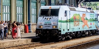 A tavaszi szünetben is ingyen utazhatnak az alsósok A tavaszi szünetben is ingyen utazhatnak az alsósok