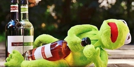 27 gyereket vittek kórházba alkoholmérgezés miatt 27 gyereket vittek kórházba alkoholmérgezés miatt
