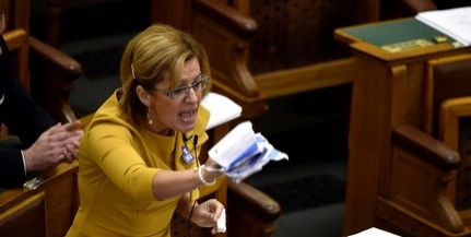 Kizárta az MSZP a patkányozó Bangóné Borbély Ildikót Kizárta az MSZP a patkányozó Bangóné Borbély Ildikót
