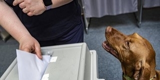 Az értesítők több mint egy százaléka kézbesíthetetlen Az értesítők több mint egy százaléka kézbesíthetetlen