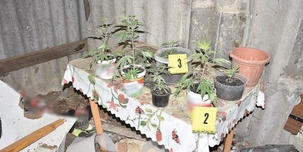 Baranyai drogárust és egy vevőjét is lekapcsolták a zsaruk Baranyai drogárust és egy vevőjét is lekapcsolták a zsaruk