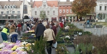 Pénteken lesz a virágvásár a Kossuth téren - Különlegességekkel is várják a pécsieket