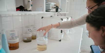 A szúnyogok elleni biológiai védekezést segítik a pécsi egyetem szakemberei A szúnyogok elleni biológiai védekezést segítik a pécsi egyetem szakemberei
