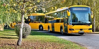 Pécsről és Komlóról is több busz jár a Balatonra a nyáron Pécsről és Komlóról is több busz jár a Balatonra a nyáron