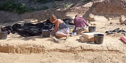 Különleges mamutleletek kerültek elő Baranyában egy építkezés során Különleges mamutleletek kerültek elő Baranyában egy építkezés során