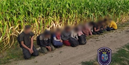 Dunafalván is lekapcsoltak egy csapat migránst kedden Dunafalván is lekapcsoltak egy csapat migránst kedden