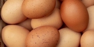 A termelők szerint tojáshiány lehet az árstop miatt